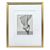 16x20 Gold Ornate Matted to 8x10 Wall Frame