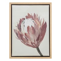 Tracey Boyd Framed Pink Floral Art, 6x8