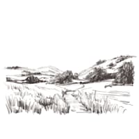Charcoal Landscape Canvas Wall Art, 28x22