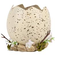 Honeybloom Natural Hatched Egg Shell Table Decor, 4"