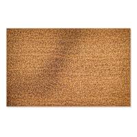 Natural Coir Mat, 17x27