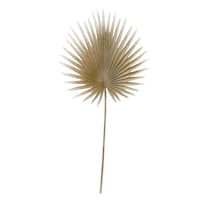 Tracey Boyd Light Coffee Fan Palm Stem, 35"
