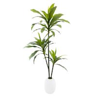 Ty Pennington Floor Greenery with White Ceramic Pot, 52"