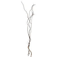 3-Piece Curly Willow, 40"