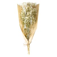 Willow Crossley Green Baby's Breath Bundle, 15"