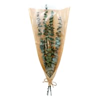 Willow Crossley Dried Eucalyptus Bundle, 30"