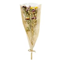 Willow Crossley Dried Daisy Bundle, 20"