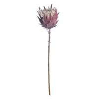 Tracey Boyd Pink Protea Stem, 27"