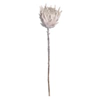 Tracey Boyd Light Pink Protea Stem, 27"