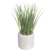 Ty Pennington Grass Bundle in Ceramic Pot, 22"