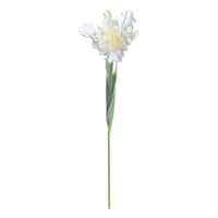 Willow Crossley White Parrot Tulip Stem, 25"