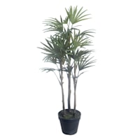 Outdoor Rated Potted Fan Palm, 25"