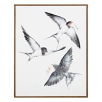 Honeybloom Framed Birds Canvas Wall Art, 16x20