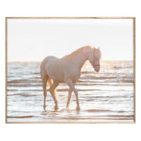 Ty Pennington Framed Horse Canvas Wall Art, 24x30