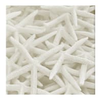 Ty Pennington Starfish Canvas Wall Art, 30"