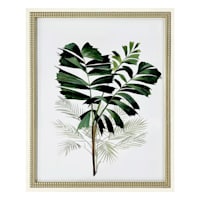 Providence Glass Framed Tropical Leaves Print Wall Art, 18x22