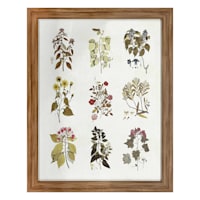 Honeybloom Glass Framed Floral Print Wall Art, 21x27