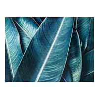 Found & Fable Leaves Canvas Wall Art, 40x30