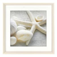 Ty Pennington Glass Framed Shells Print Wall Art, 16"