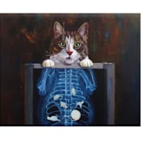X-Ray Cat Canvas Wall Art, 16x12