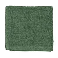 Essential Solid Green Washcloth, 13"