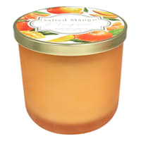 Salted Mango & Tangerine Scented Jar Candle, 11oz
