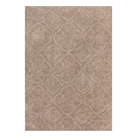(C202) Hayne Neutral Floral Shag Area Rug, 5x7