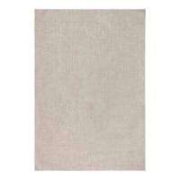 (E504) Origins Beige Outdoor Area Rug, 5x7