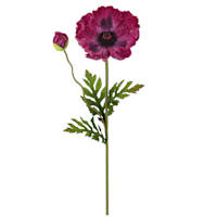 Willow Crossley Purple Poppy Floral Stem, 28.5"
