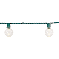30-Count LED G40 Globe String Lights with Green Wire