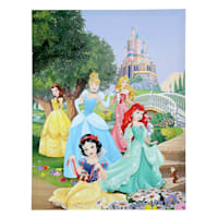 Disney Princess Canvas Wall Art, 11x14
