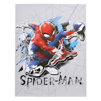 Spiderman Canvas Wall Art, 11x14