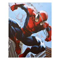 Spiderman Canvas Wall Art, 11x14