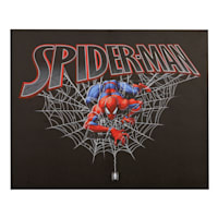 Spiderman Canvas Wall Art, 11x14