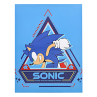 Sonic Canvas Wall Art, 11x14