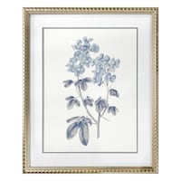 Providence Glass Framed Floral Print Wall Art, 17x21