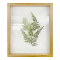 Honeybloom Glass Framed Botanical Wall Art, 10x12