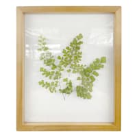 Honeybloom Glass Framed Botanical Wall Art, 10x12