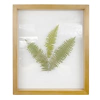 Honeybloom Glass Framed Botanical Wall Art, 10x12