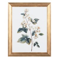Providence Glass Framed Floral Print Wall Art, 16x20