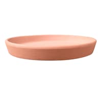 Indoor Terracotta Clay Saucer, Medium