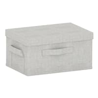 Rectangle Closet Storage Box with Lid