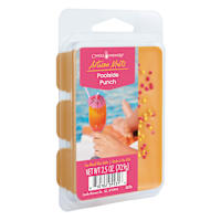 Poolside Punch Scented Artisan Wax Melts, 2.5oz
