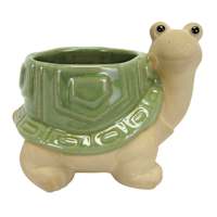 Indoor Turtle Ceramic Pot, 5"