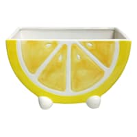 Indoor Lemon Pot, 8x3.7