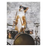Jazz Drummer Cat Art, 6x8
