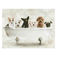 Dog Wash Bath Art, 8x6