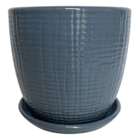 Indoor Tulip Pot, Blue