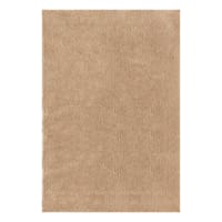 (C205) Kodiak Neutral Shag Area Rug, 6x9