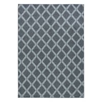 Navy & White Acadia Loop Trellis Design Outdoor Area Rug, 5x7